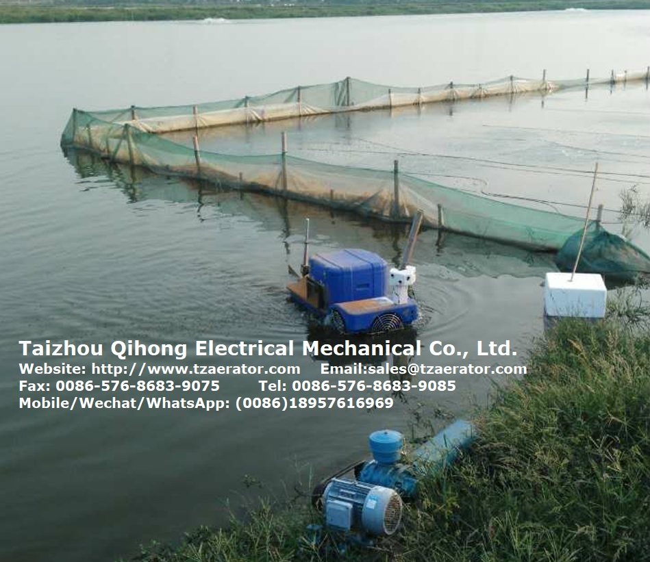 solar Auto shrimp feeder in pond-3