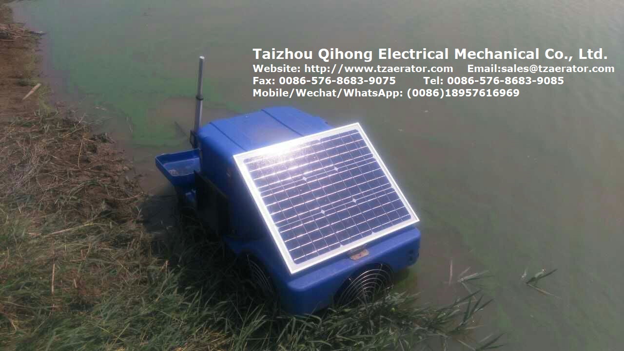 solar Auto shrimp feeder in pond-6