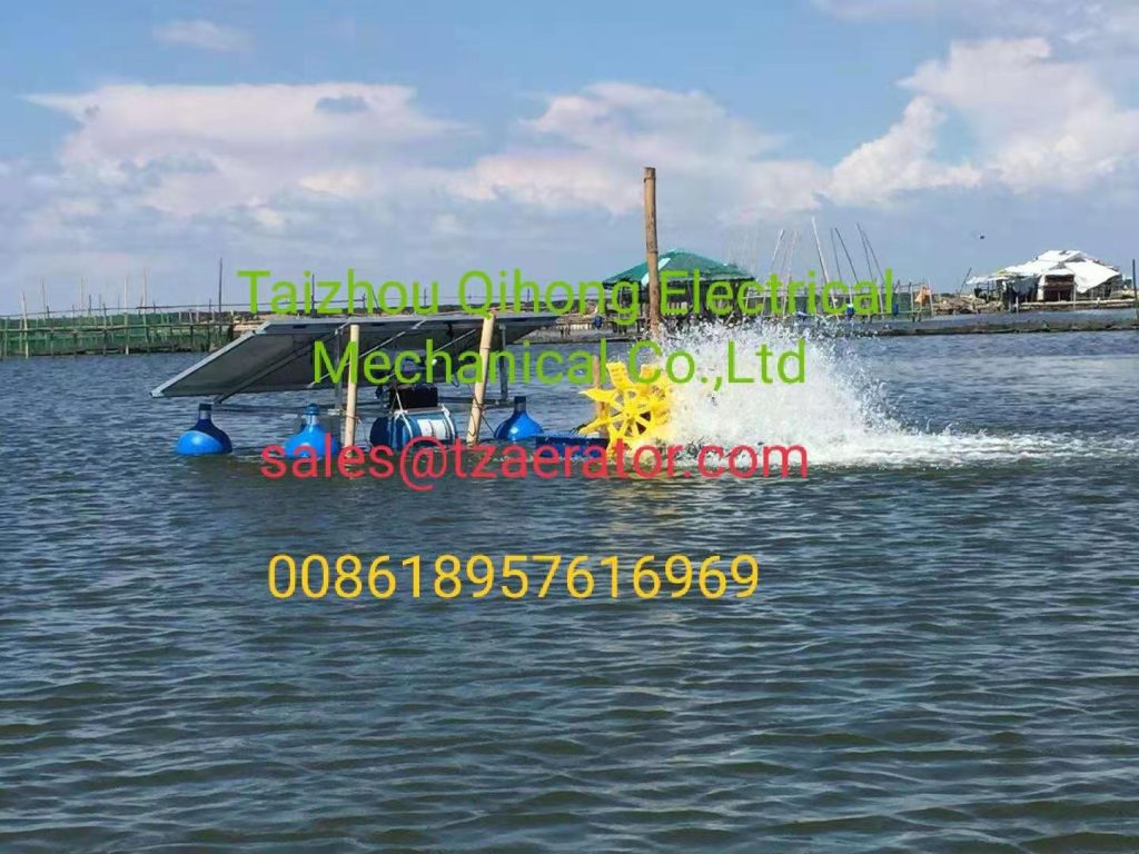 solar aerator in client's shrimp pond-3